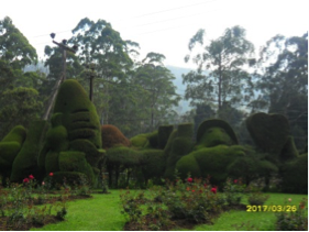Plantaciones de té de Nuwara Eliya 