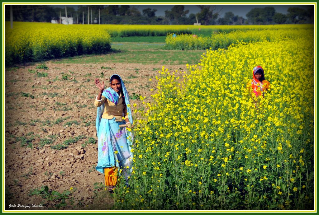 Pobreza en India 