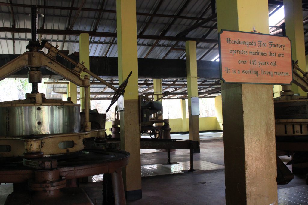 Fábrica de té en Sri Lanka