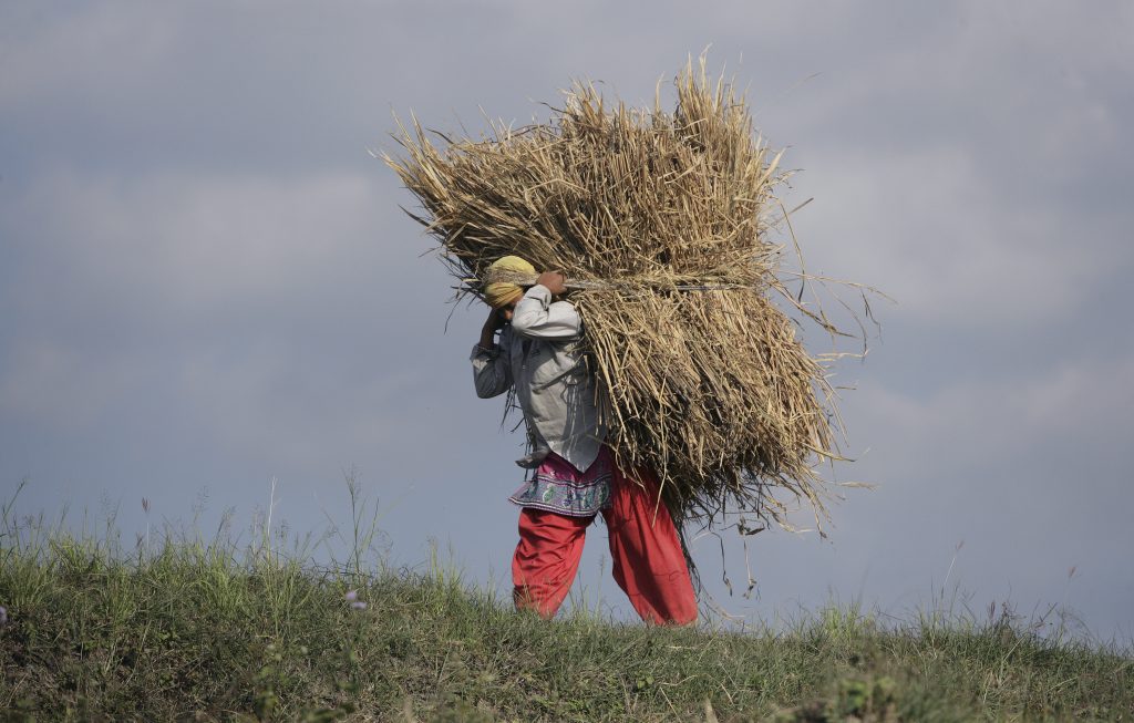 Qué ver en Nepal