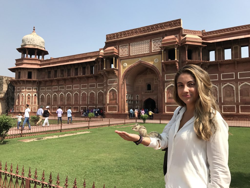 Viajar a India en familia