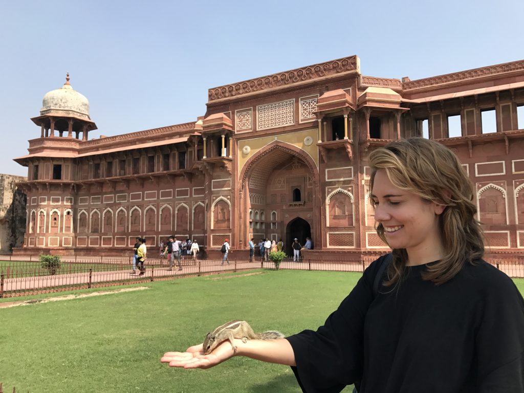 Viajar a India en familia