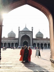Viajar a India en familia
