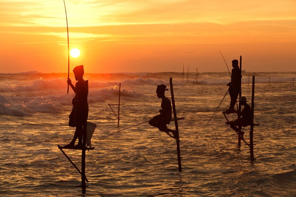 Que ver en Sri Lanka : pescadores zancudos