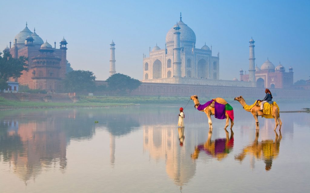 Camellos en el río Yamuna frente al Taj Mahal 