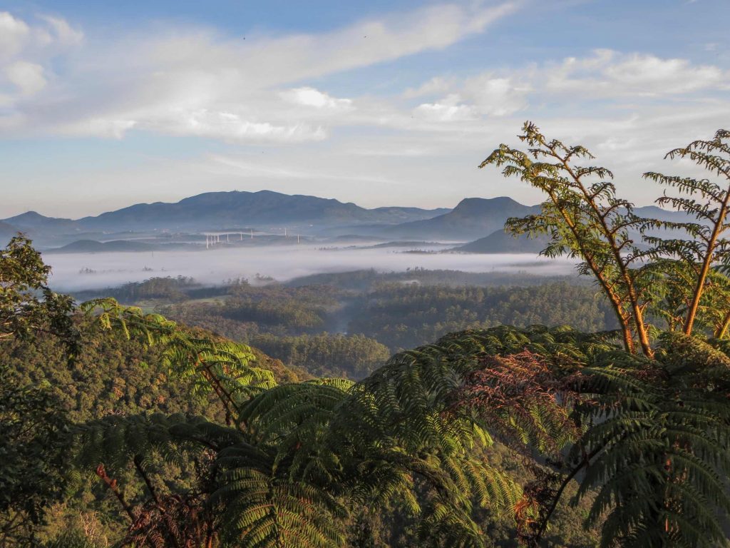 Montañas de niebla y bosques en las Tierras de Sri Lanka 