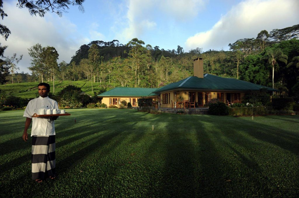 Degustación de té en las plantaciones de Ceylon Tea Trails. 