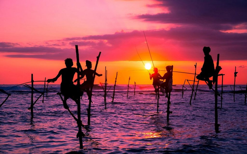 Pescadores zancudos junto al atardecer en Sri Lanka