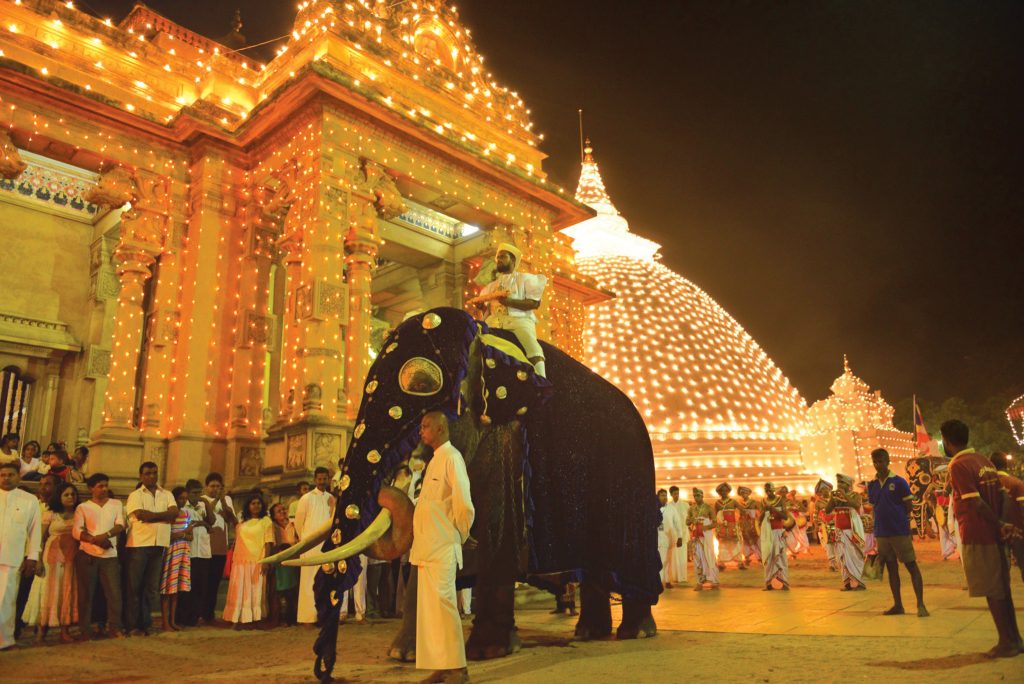 Elefante y templo iluminados durante el Duruthu Perahera 