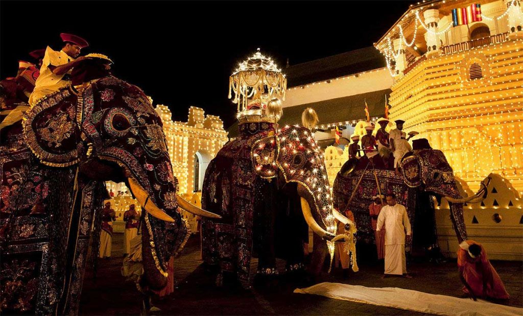 Luces y elefantes en el festival Esala Perahera de Kandy 