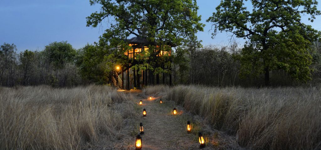 Casa en el árbol en hotel de Bandjavgarh 