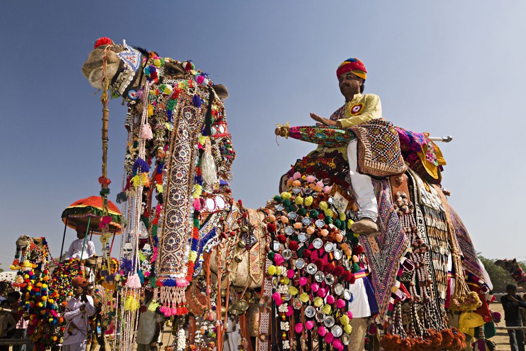 Camello de colores durante la Feria de Camellos de Pushkar 