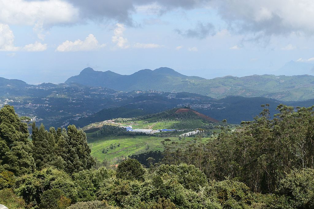 Mirador de los Nilgiris en Doddabetta 