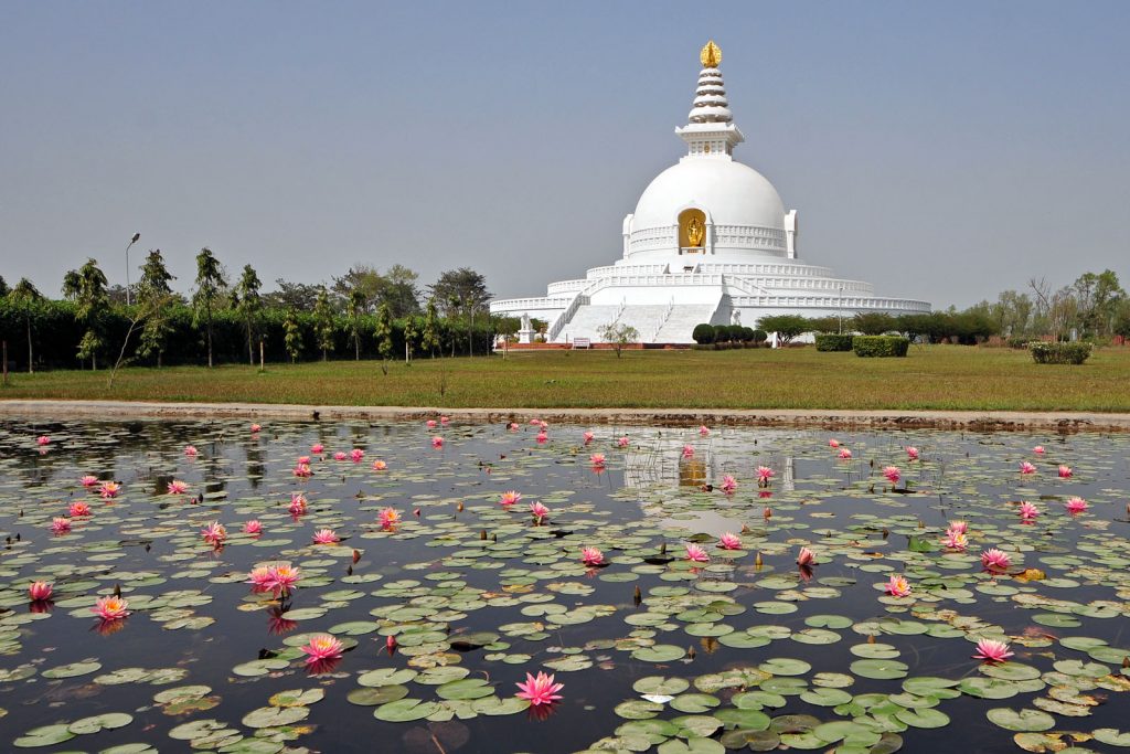 Pagoda de la Paz de Lumbini junto a un estanque de lotos 