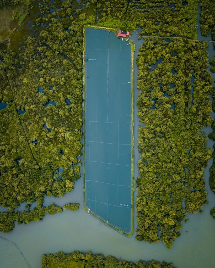 Granja de gambas de Kerala fotografiada desde un dron 