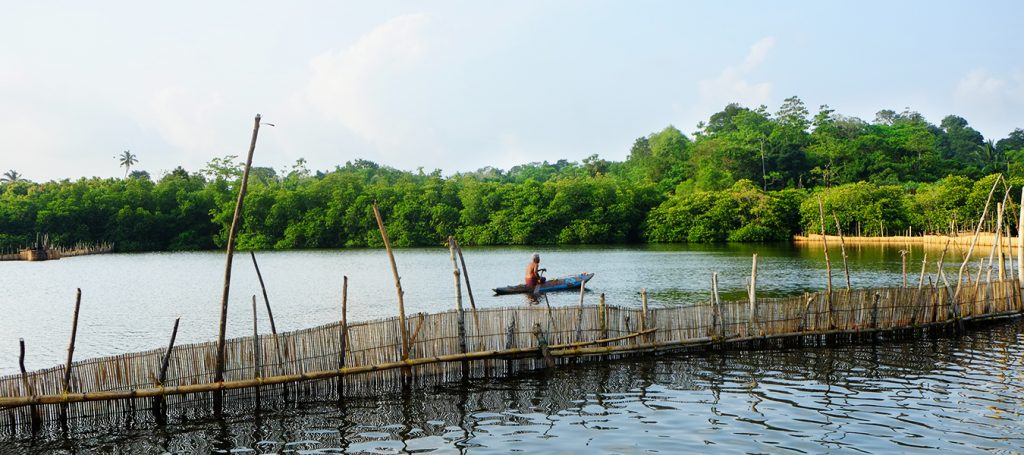 Estuario de Maru River en Sri Lanka 