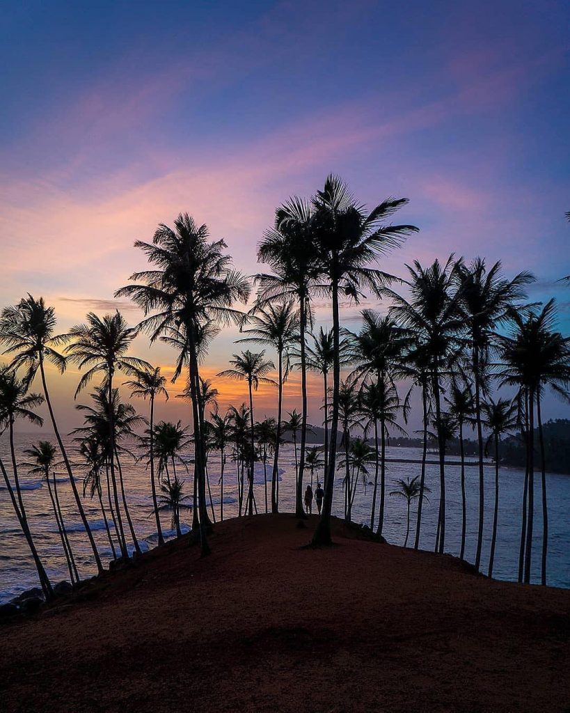 Coconut Tree Hill Sri Lanka 
