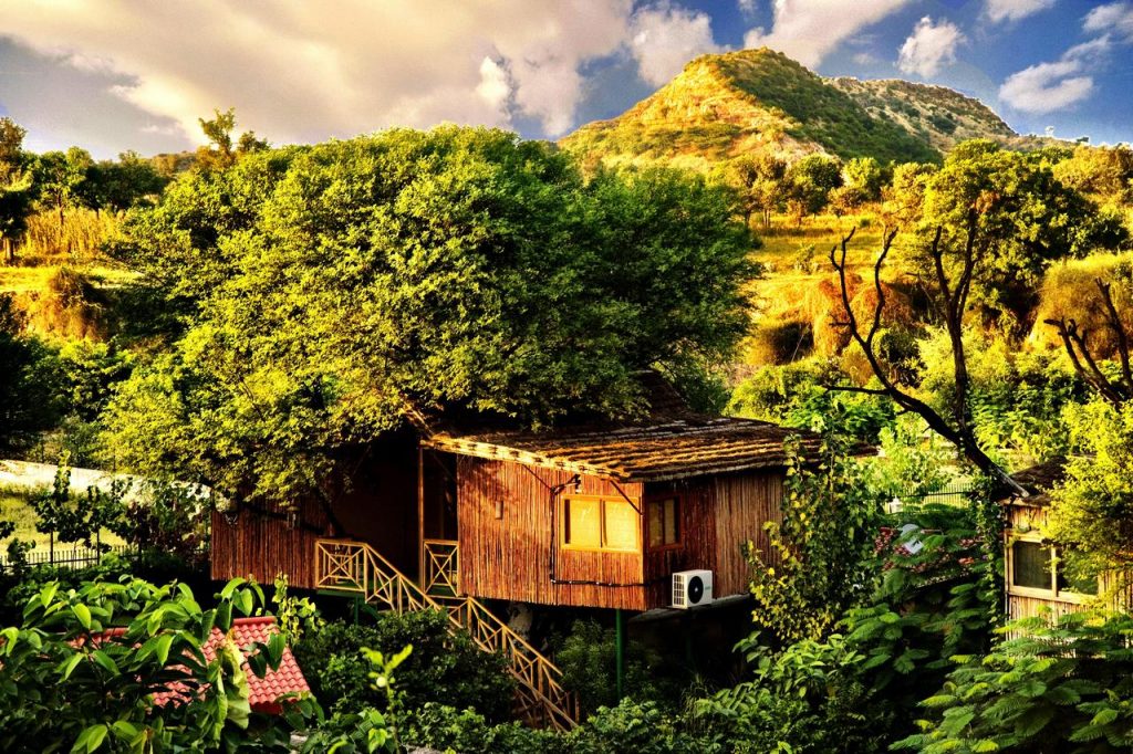 Cabaña en hotel árbol en Jaipur 