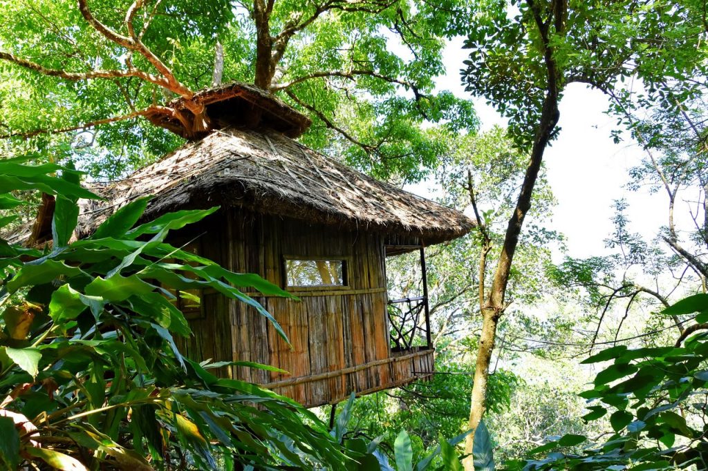 Cabaña en la selva de Kerala en hotel árbol 