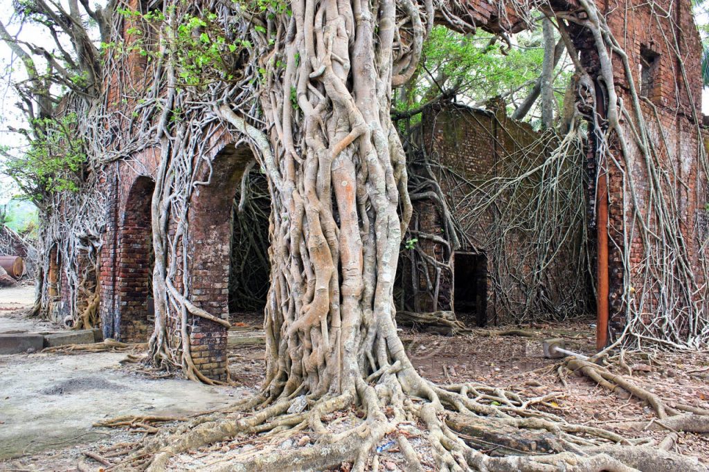 Ruinas coloniales en Ross Island en las islas Andamán 