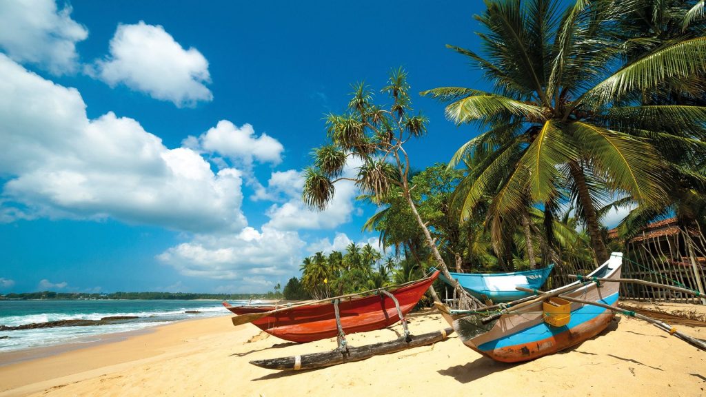 Barcas de colores bajo cocoteros en una playa de Sri Lanka