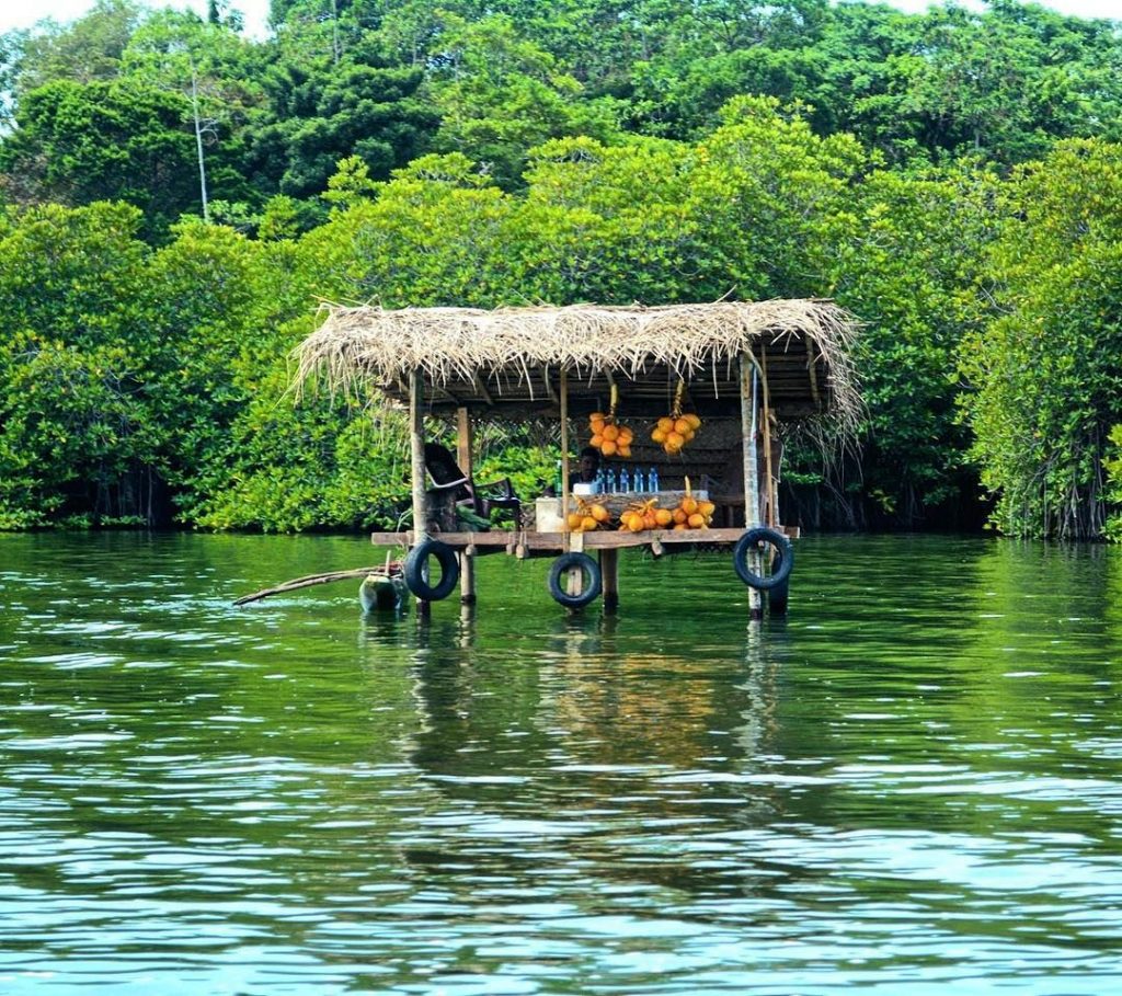 Manglares del río Madu en Sri Lanka 