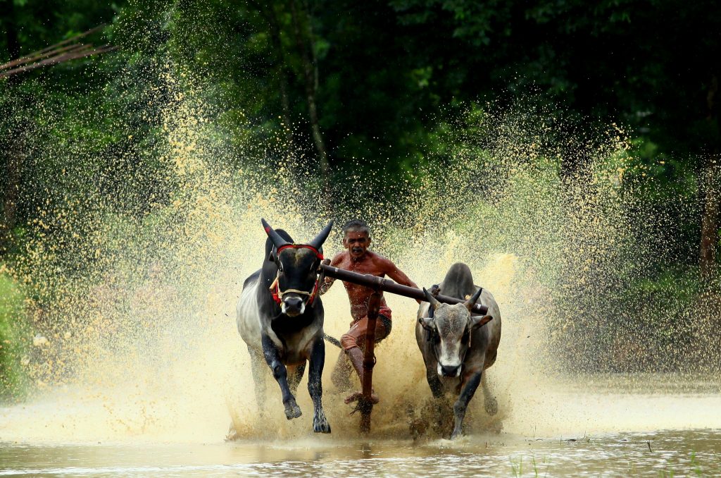 Costumbres de Kerala 