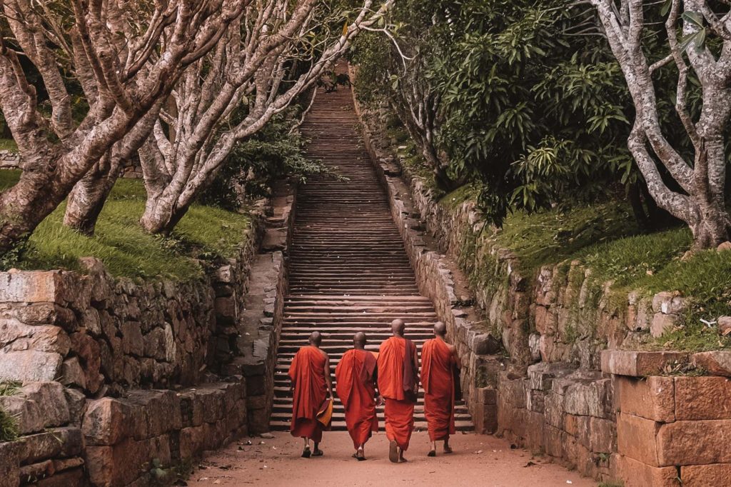 Qué hacer en Sri Lanka 