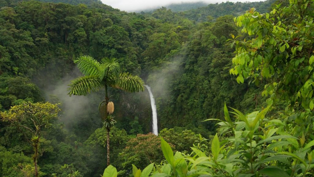 Qué ver en Kerala 