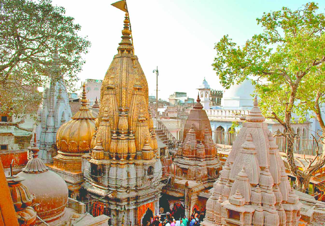 temple tour of varanasi