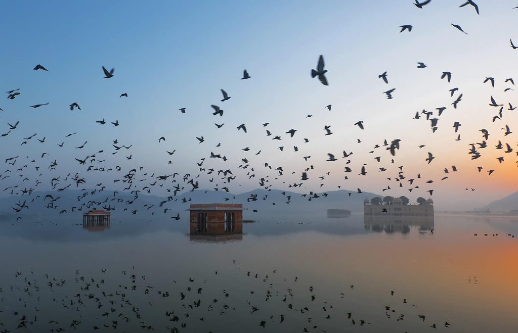 Jal Mahal en Jaipur 