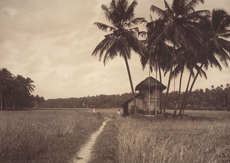 kerala foto antigua