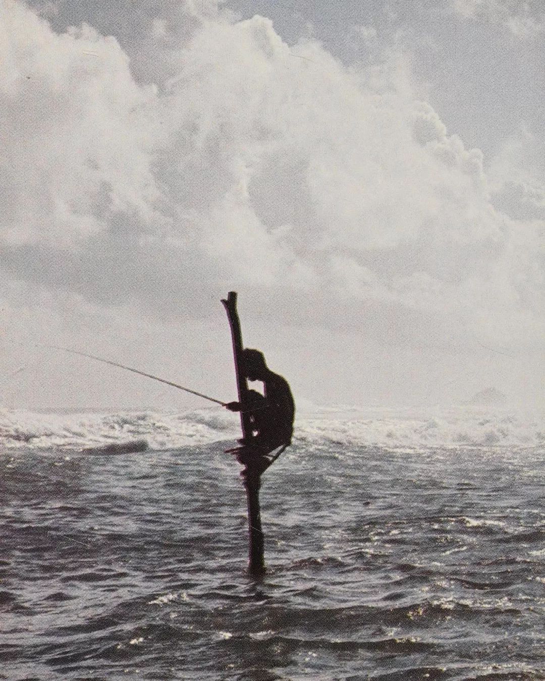 pescador zancudo en Sri Lanka