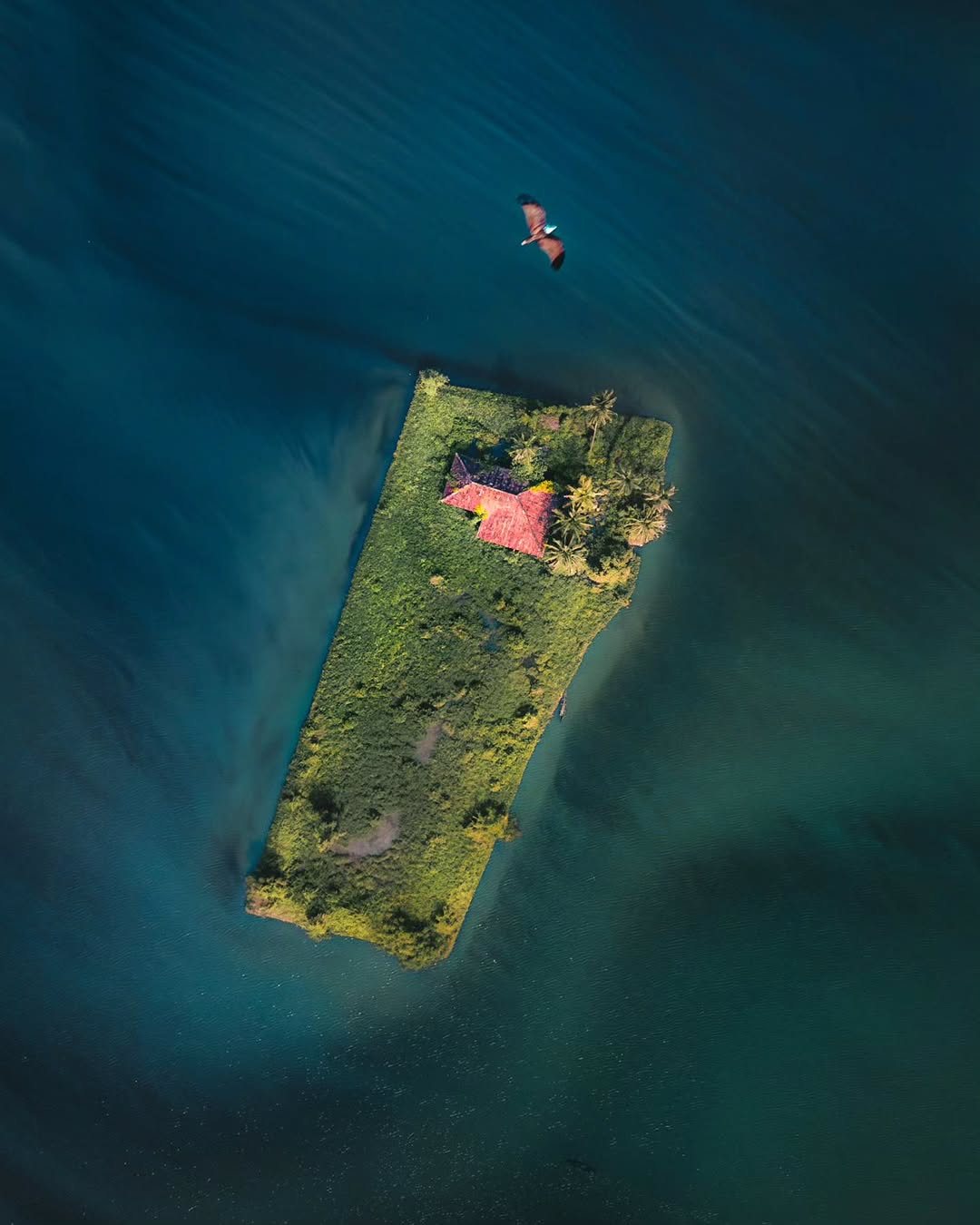 backwater con foto dron backwaters de kerala