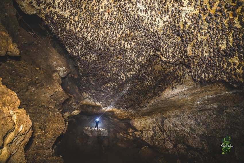 cueva de murcielagos en pokhara cuevas de murcielagos nepal