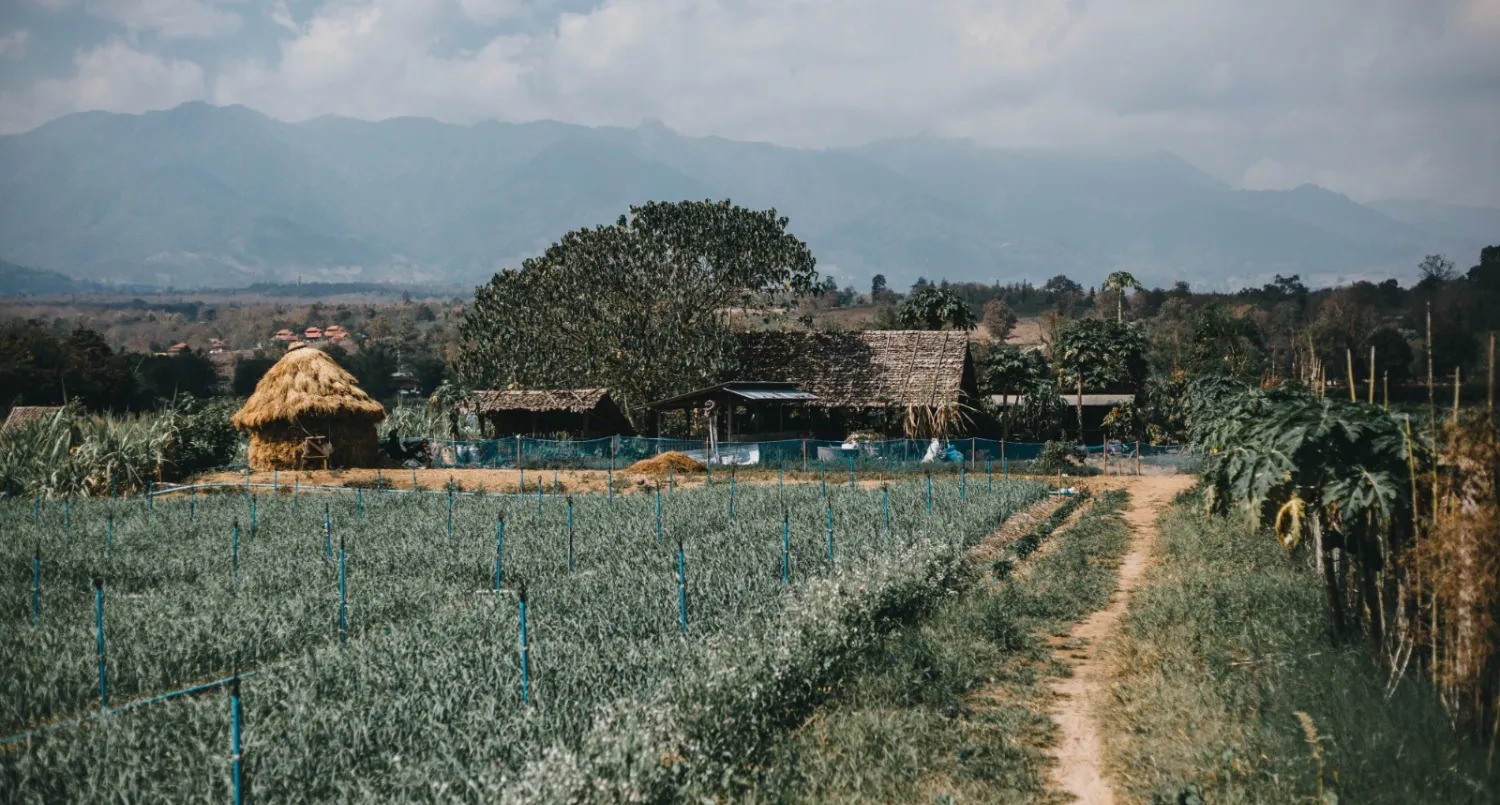 pueblos rurales en india 