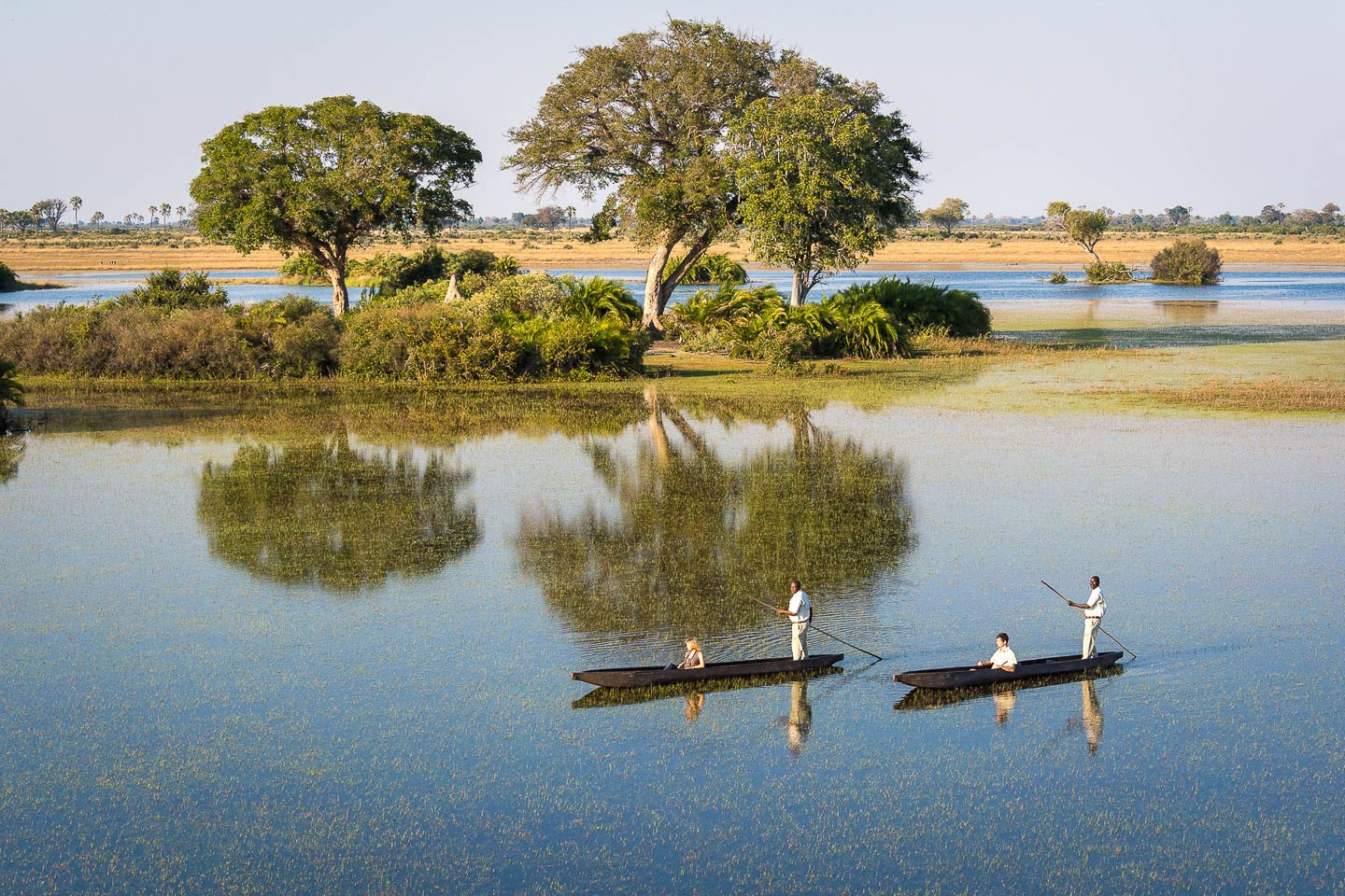 delta del okavango mokoro delta del okavango