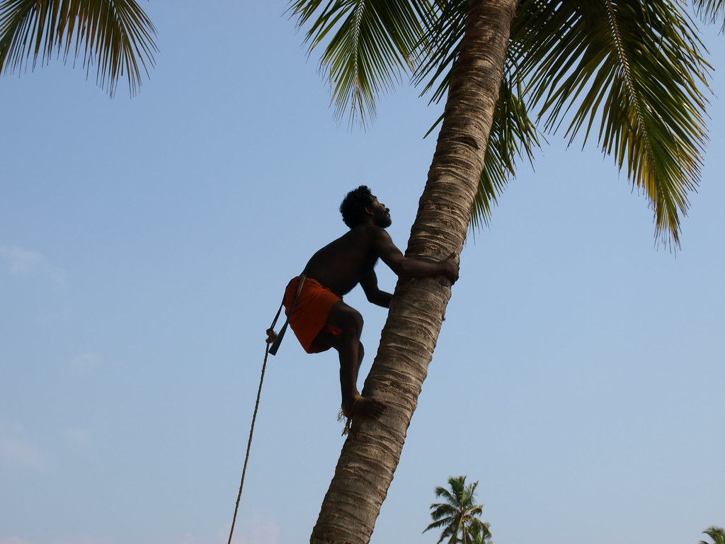 Tradiciones de Kerala