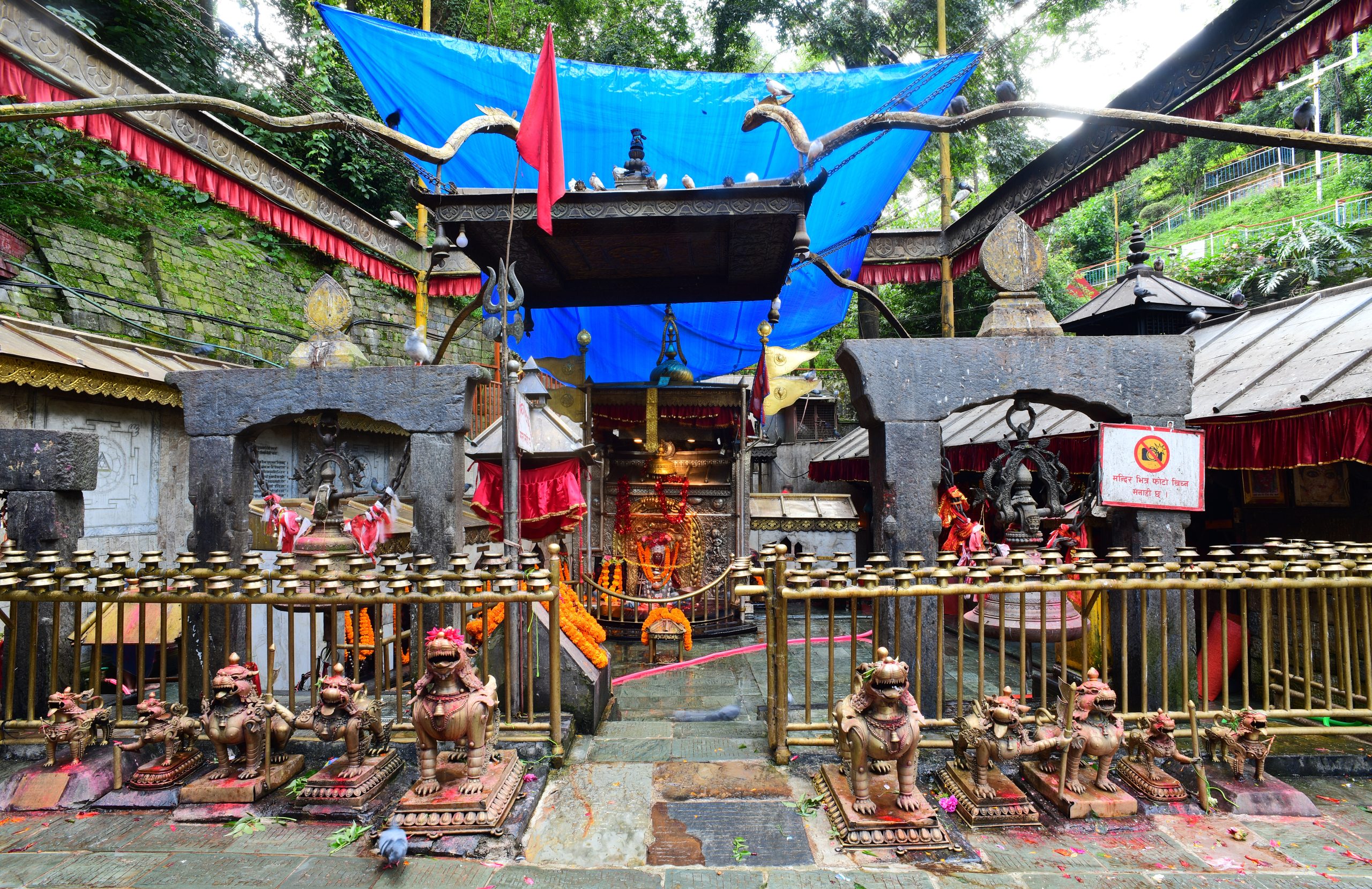 templo de los animales en nepal templos más curiosos de nepal