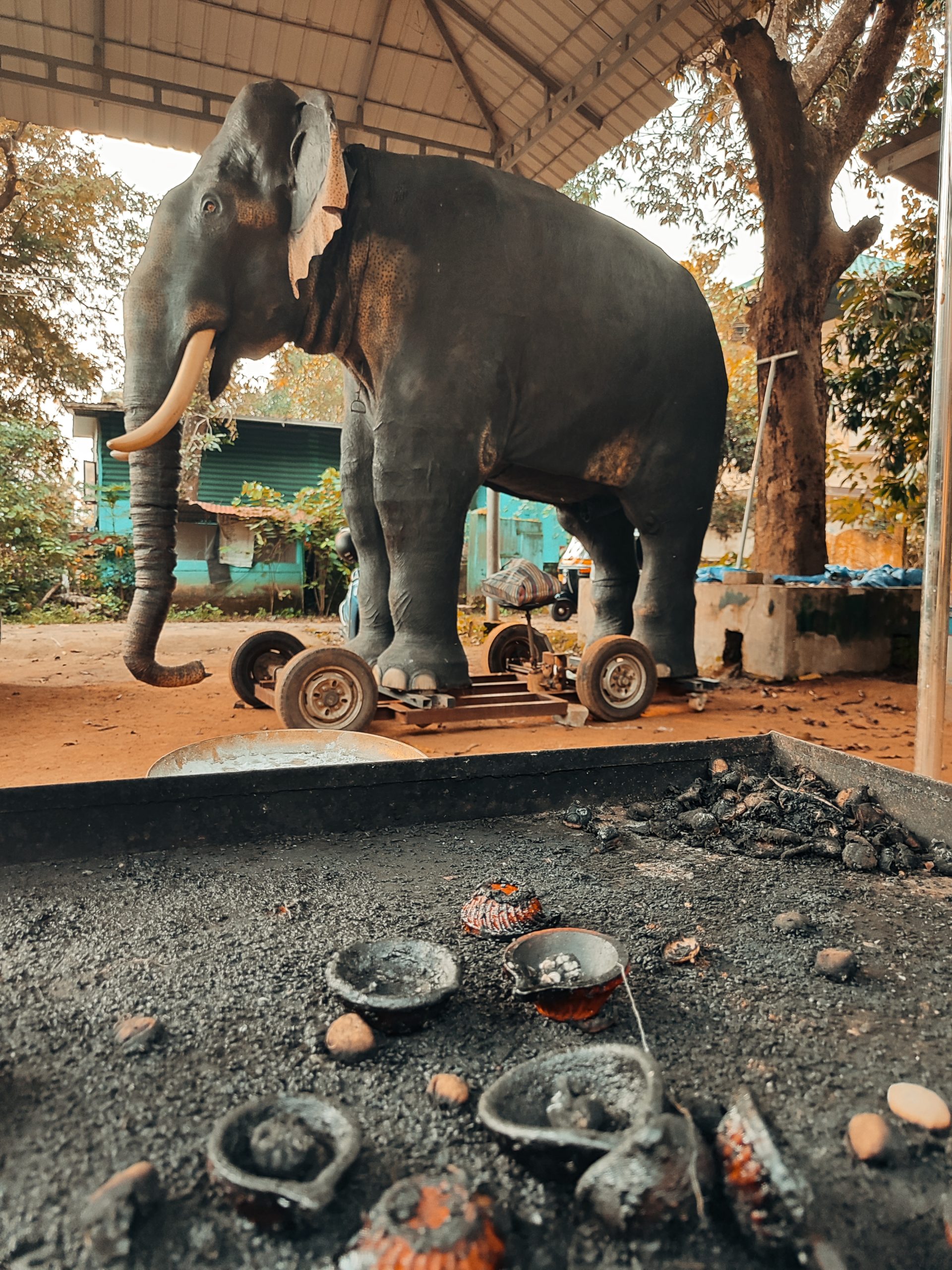 elefantes mecánicos en India