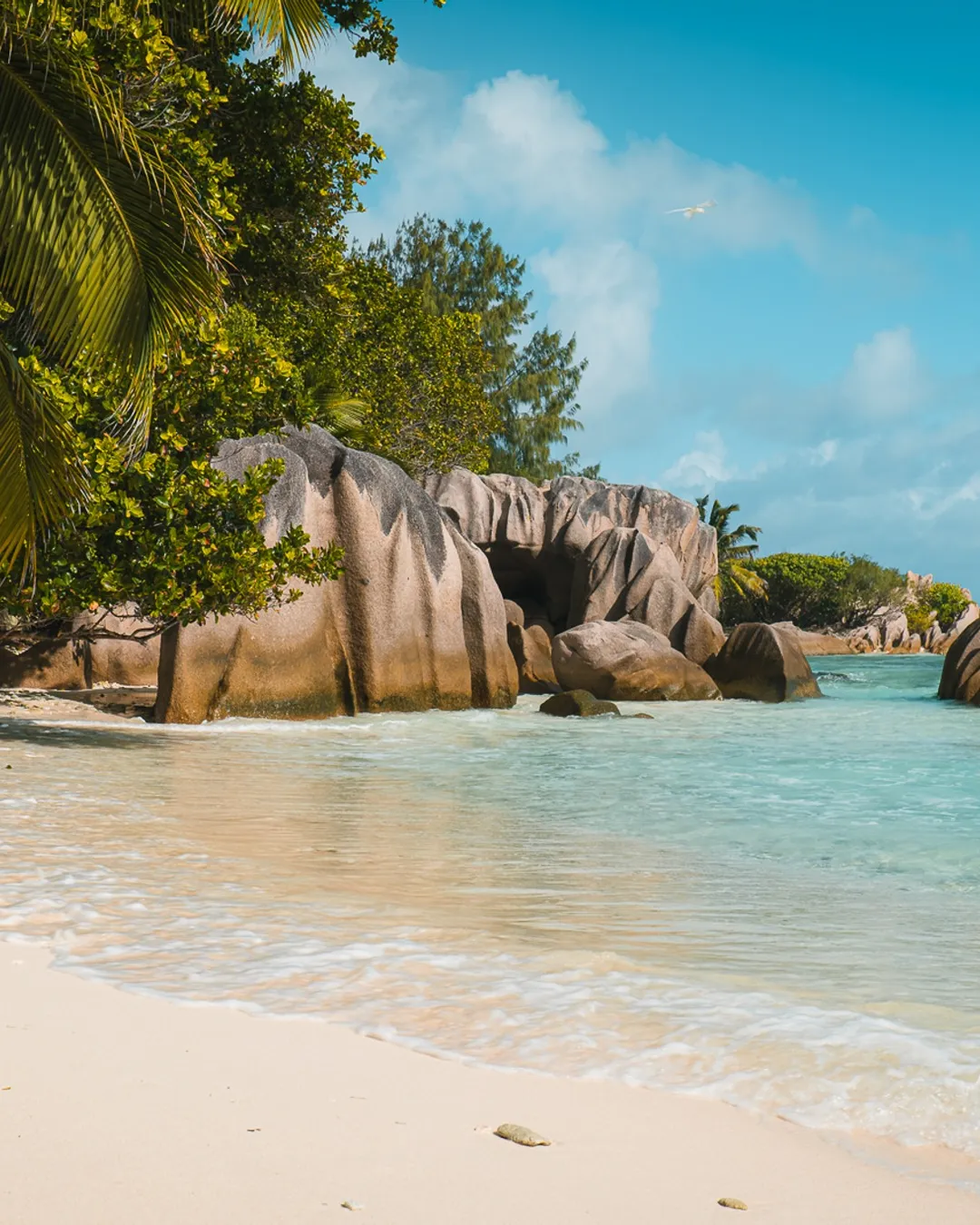 anse pierrot en seychelles anse pierrot