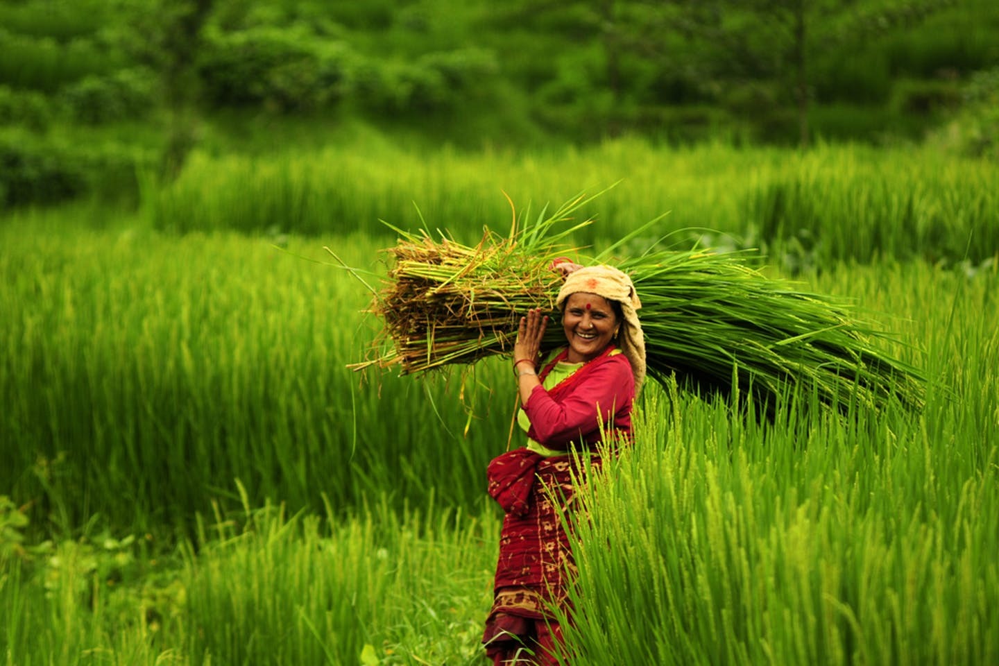 mujer agricultora en nepal experiencias locales en Nepal