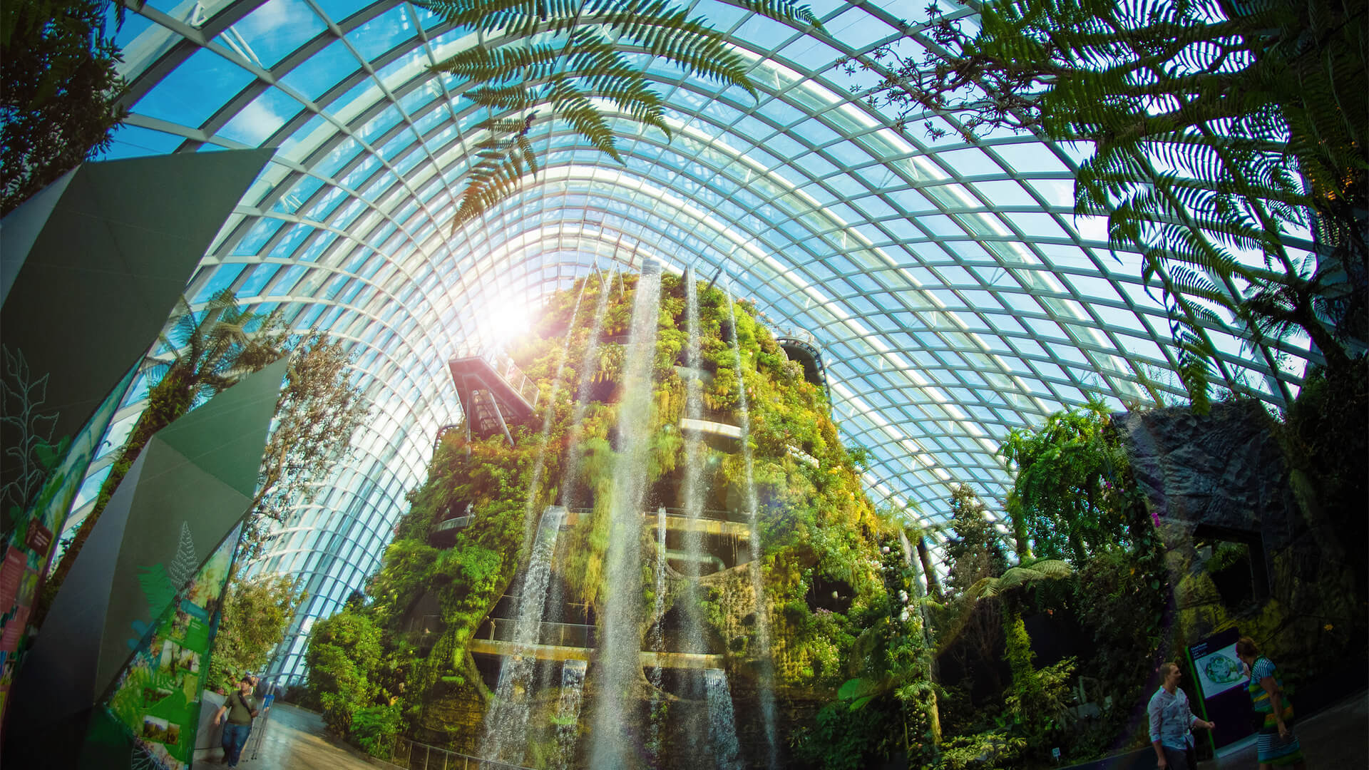 gardens by the bay cloud forest