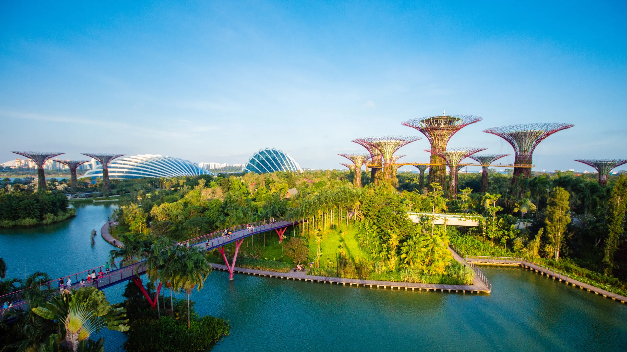 gardens by the bay panorámica gardens by the bay