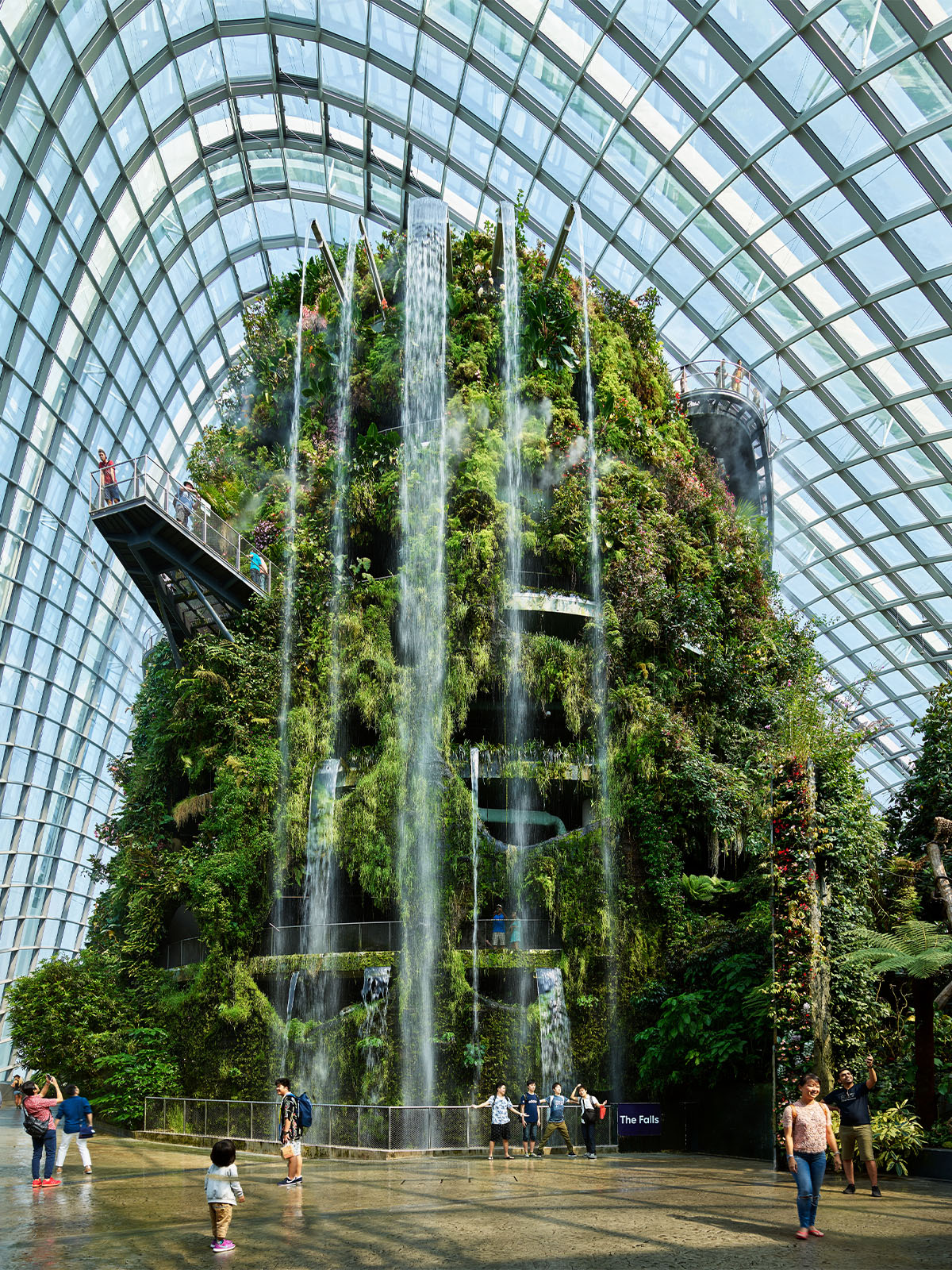 cloud forest gardens by the bay gardens by the bay