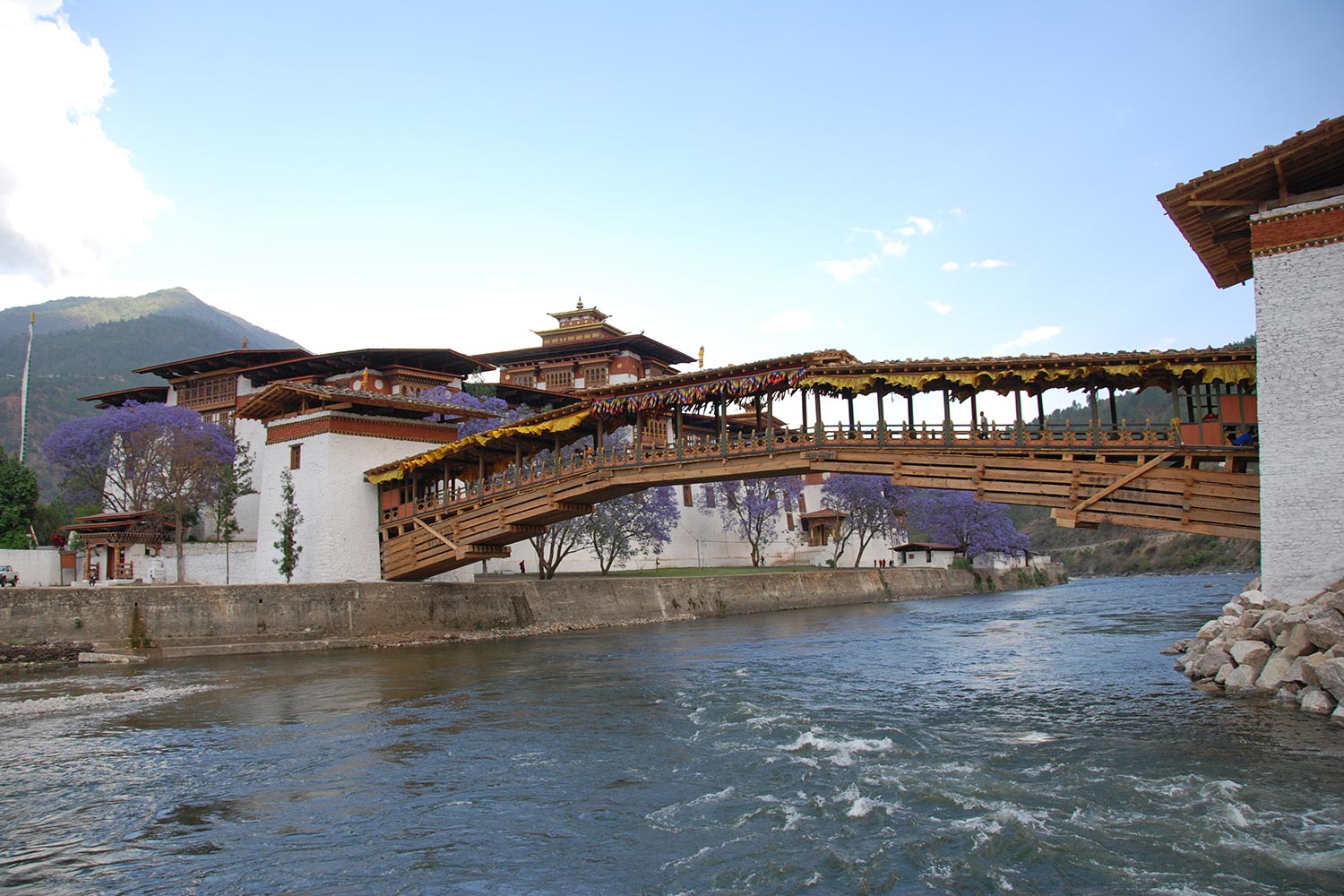 puentes colgantes de bután 