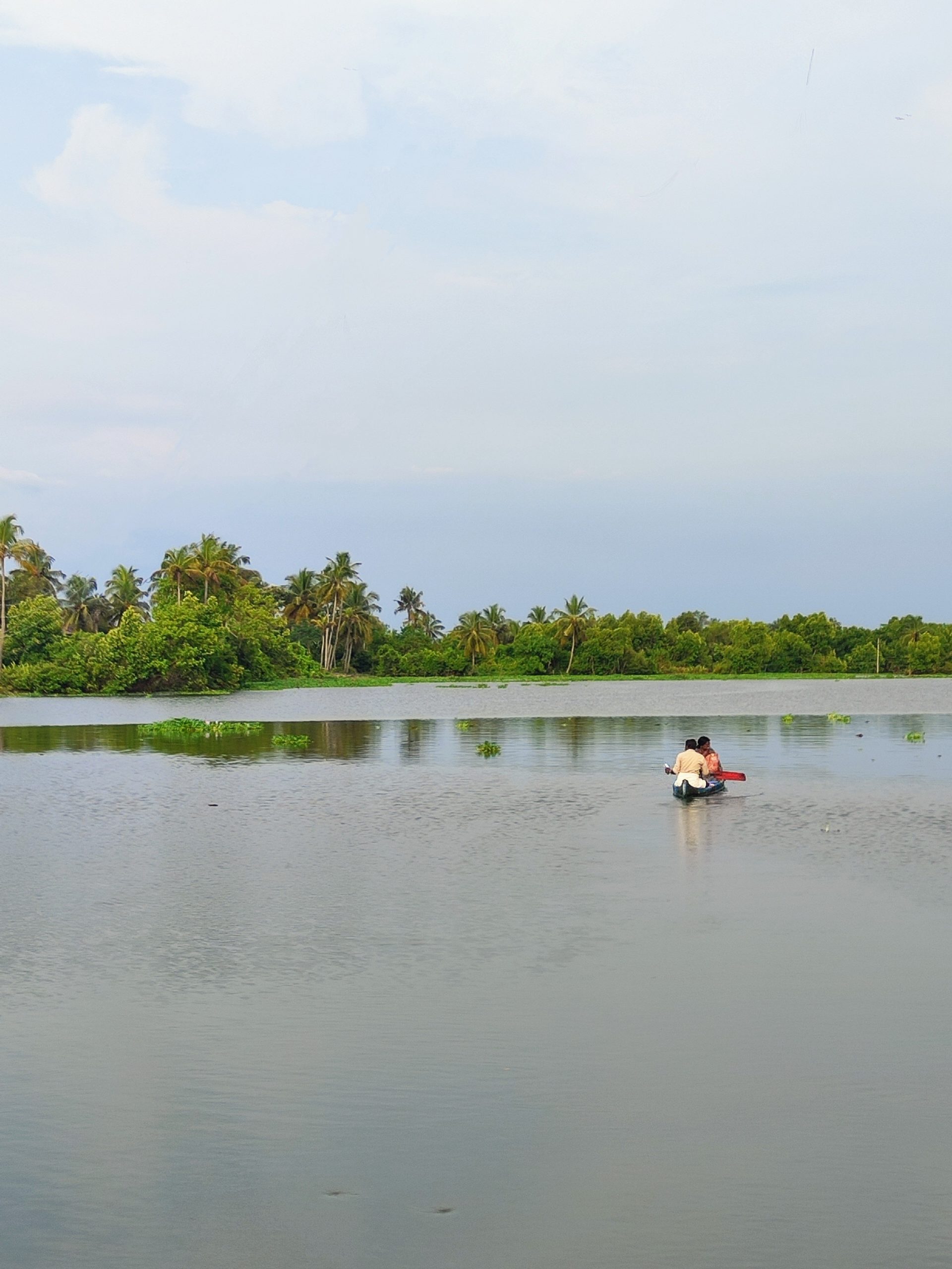 pareja en backwater en kochi qué ver en ochi