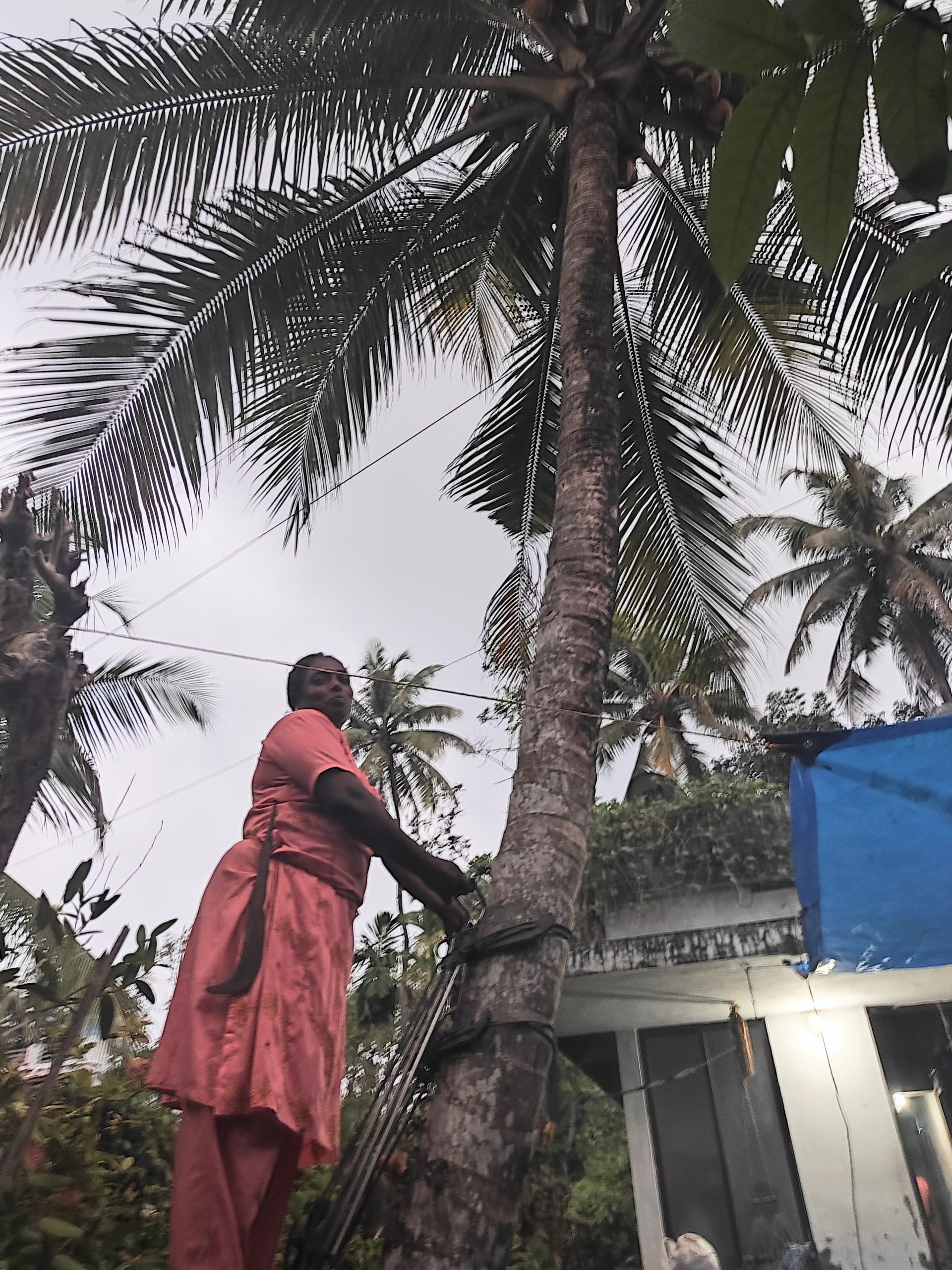 mini en su casa de kerala una historia desde india