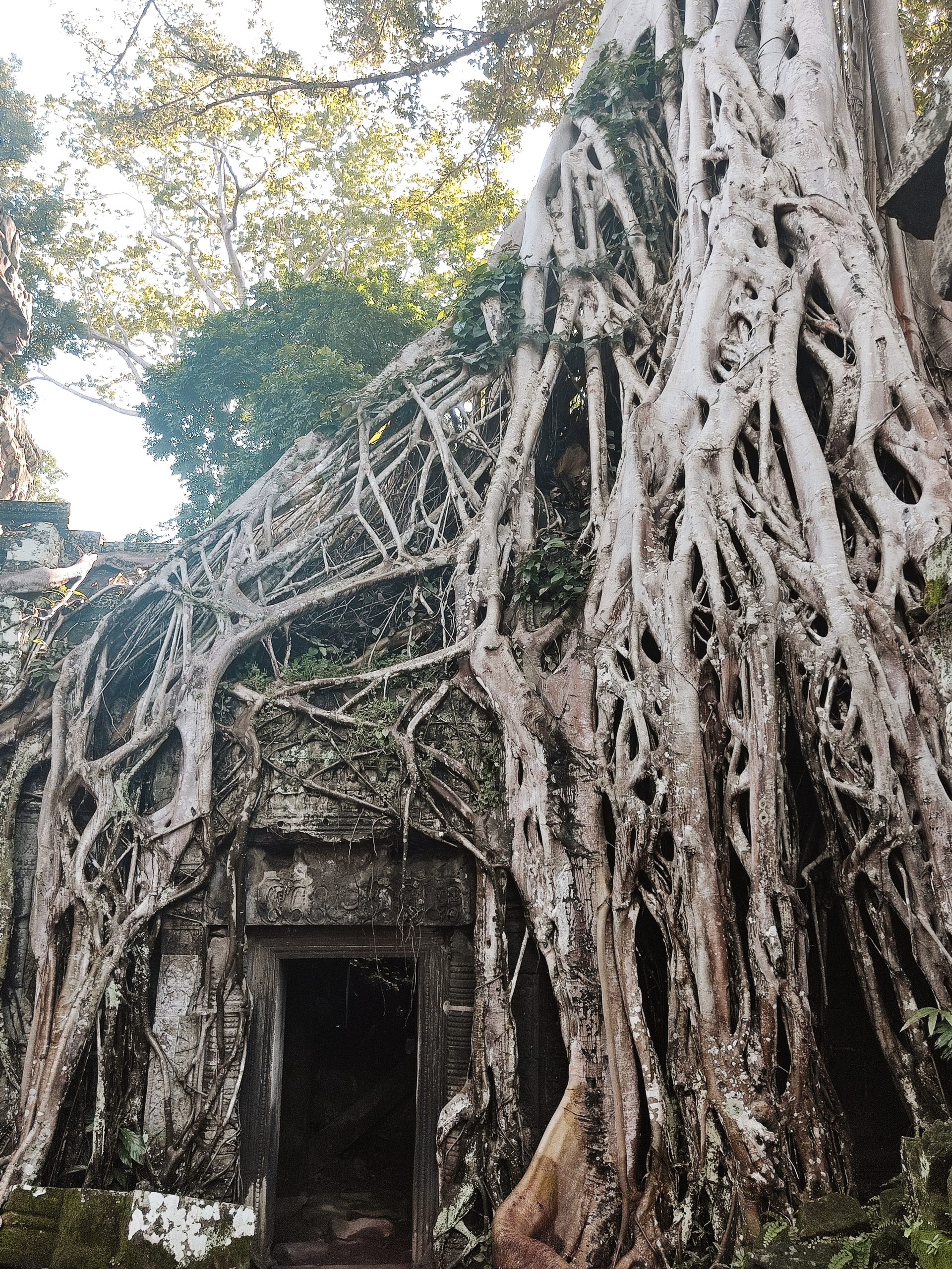 templo tomb raider en angkor wat angkor wat