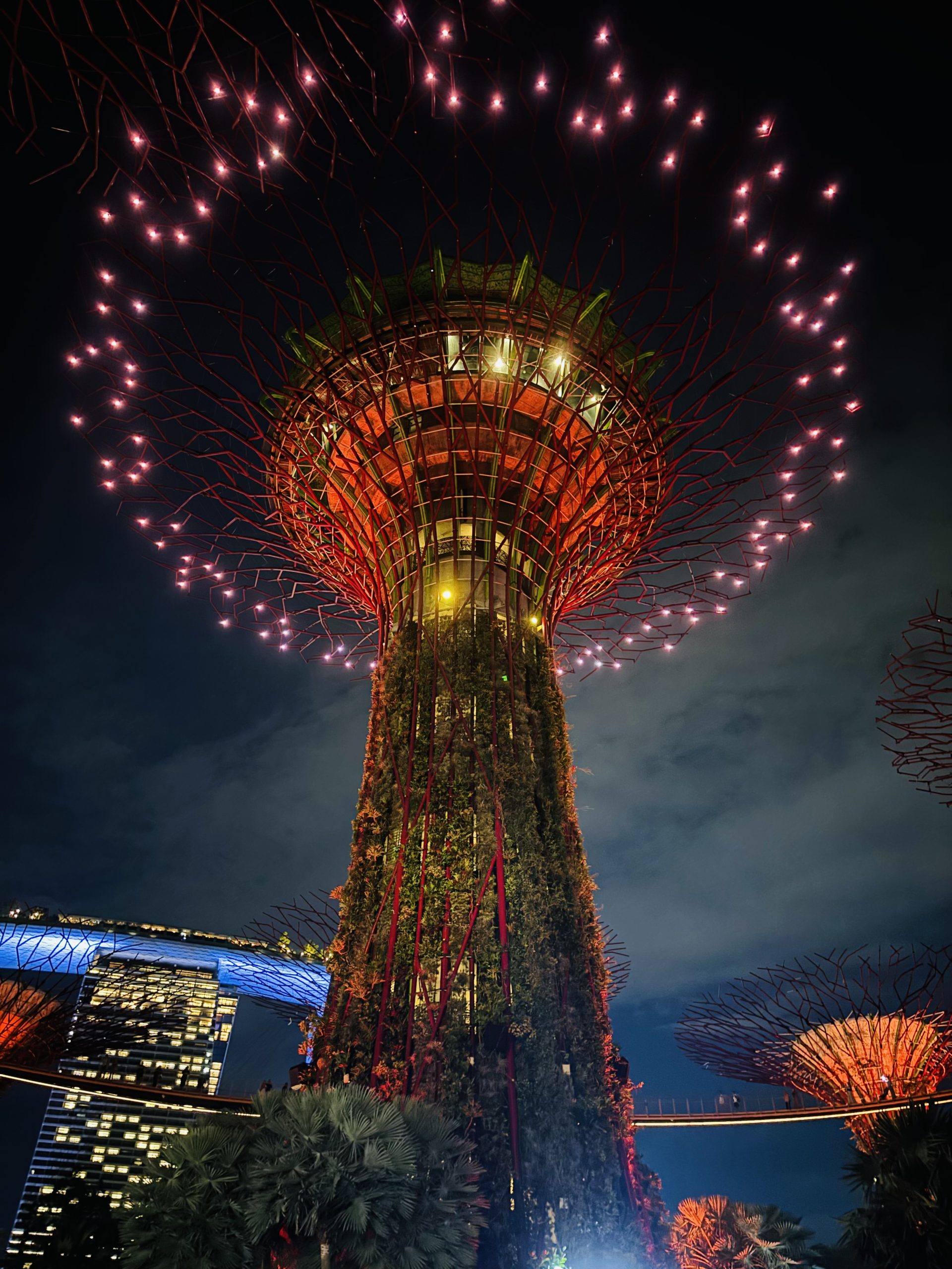 superárbol en gardens by the bay superárbol iluminado